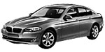 BMW F10 P00E1 Fault Code